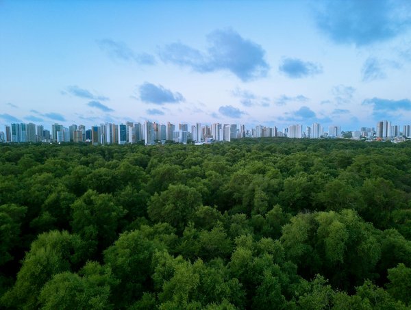 Solutions de flex office : optimisez votre espace de travail hybride