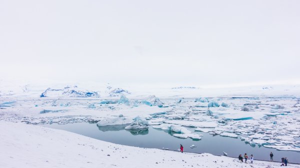 Exploration des régions polaires : entre l'arctique et l'antarctique